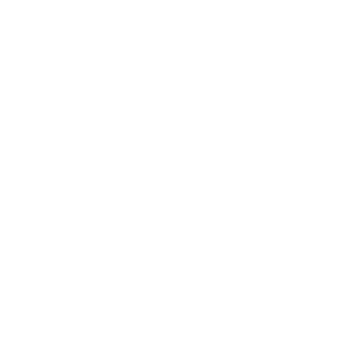 American Wild Country Music Y'allternative